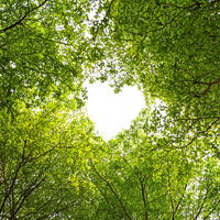 Green noise: Τι είναι και γιατί θα γίνει το αγαπημένο σας sleep hack